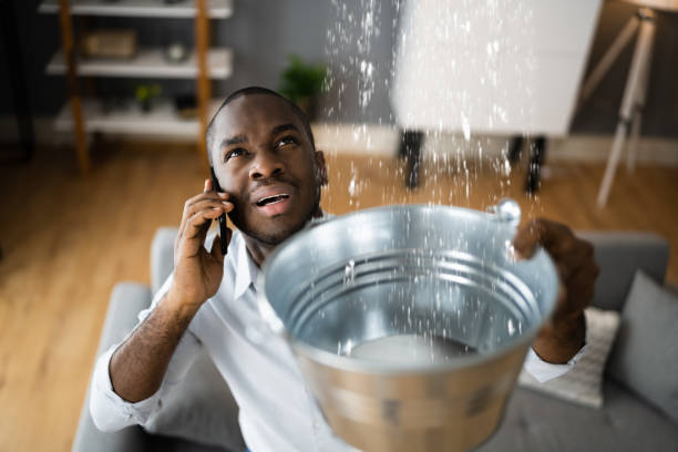 Best Basement water damage restoration  in Batesville, IN
