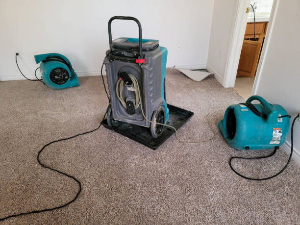 Best Professional water damage repair  in Batesville, IN