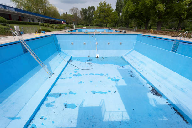 Best Mold removal after water damage  in Batesville, IN