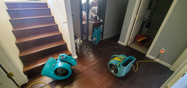 Best Water damage restoration cost  in Batesville, IN
