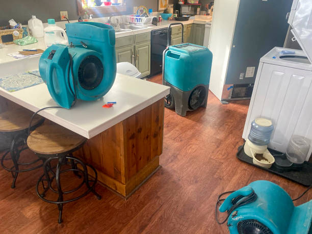 Professional Water damage restoration in Batesville, IN