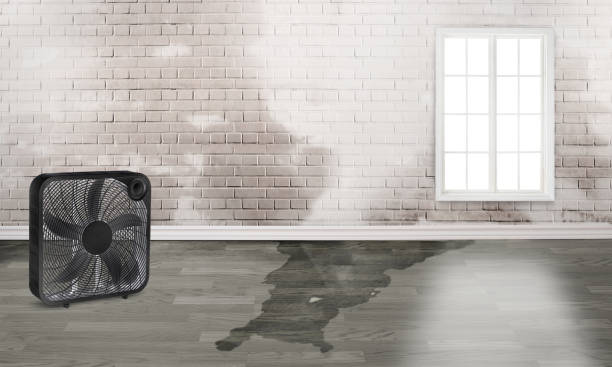 Best Emergency water damage restoration  in Batesville, IN
