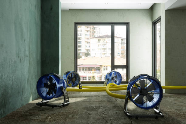 Best Water damage restoration near me  in Batesville, IN