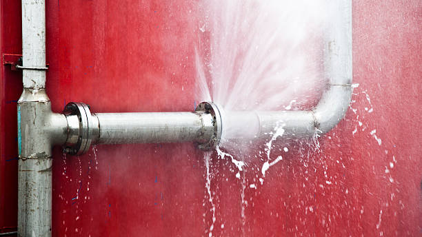Carpet water damage restoration in Batesville, IN